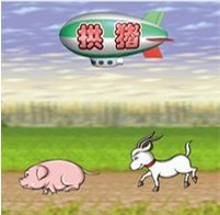 拱猪