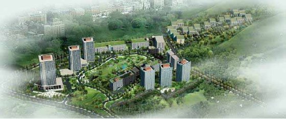 青岛市委调研组调研动漫产业发展情况