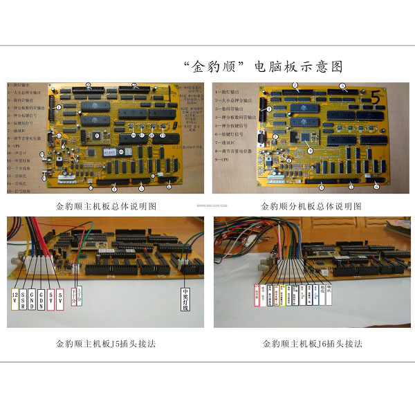 金豹顺-电脑板示意图