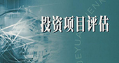 项目评估的基本原则 