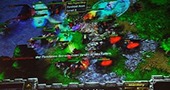 [赛事] WEM2009首日:天王争霸战月魔Moon击败人皇Sky
