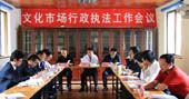 浙江省召开全省市级文化市场2008年度行政执法工作分析会
