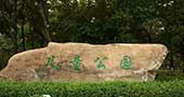 儿童游乐设施缺失，中山将加快建设儿童公园步伐