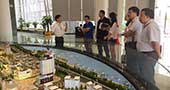 “十三五”规划调研组考察广东游戏游艺文化产业城