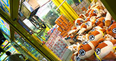 娃娃机风潮刮到杭州，商家半年内连开四家门店