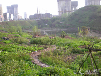 国内烂尾主题乐园