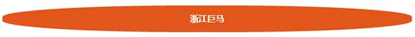 浙江巨马游艺机有限公司