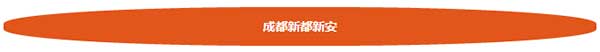 成都市新都新安游乐设备有限公司