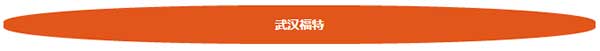 武汉市福特游乐设备有限责任公司