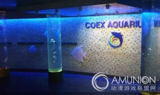 COEX 水族馆