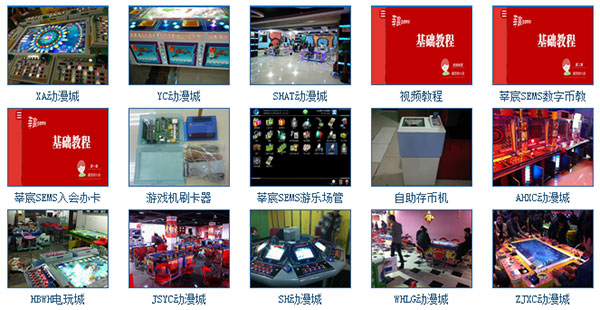 莘宸SEMS游乐场管理系统成功案例